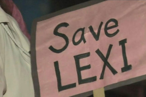 Follow Save Lexi Page on Social Media